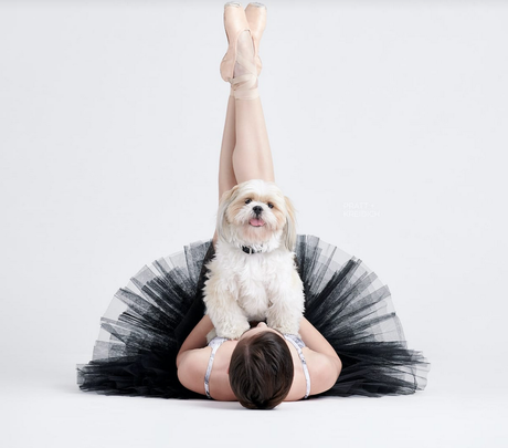 Bailarines y perros Bailarines y perros