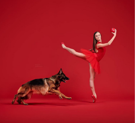 Bailarines y perros Bailarines y perros