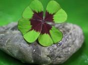 Estas maneras crear propia buena suerte. Parte final