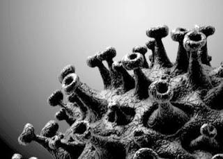 ¡ALERTA! La vacuna BioNtech/Pfizer causa esterilización femenina