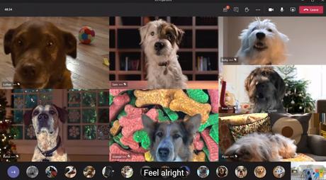 Hasta los perros disfrutan con la tecnología