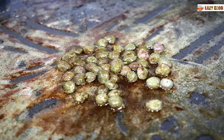 Cómo hacer lenguado meunière, a la menier o lenguado a la molinera Cómo hacer lenguado meunière, a la menier o lenguado a la molinera