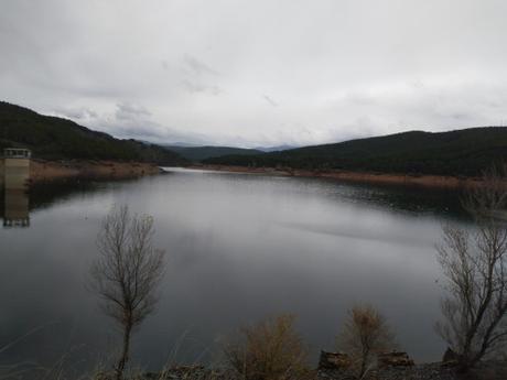 Cuando me preguntan … Cuando me preguntan …