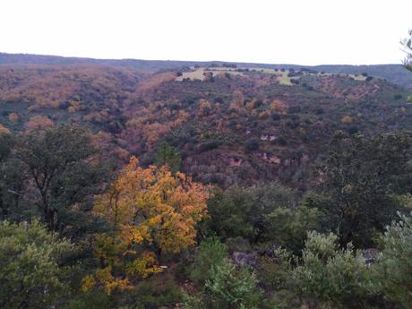 Cuando me preguntan … Cuando me preguntan …