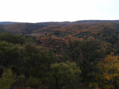 Cuando me preguntan … Cuando me preguntan …