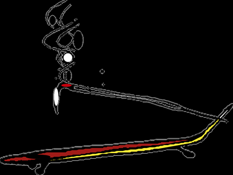 Ciencia y navidad Ciencia y navidad
