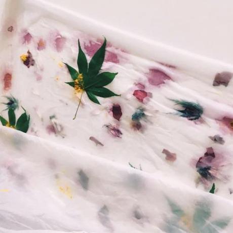 Estampacion botánica lantas y flores