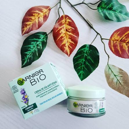 Mis 5 Favoritos del momento