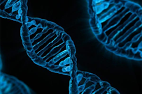 CÓDIGO GENÉTICO DEL CUIDADO PROGRESIVO HOSPITALARIO