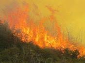 foco incendio Cordillera: advierten sequía para verano