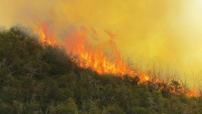 Hay un foco de incendio en la Cordillera: advierten sequía para el verano