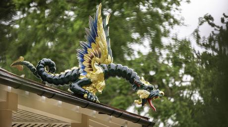 JARDÍN BOTÁNICO DE KEW