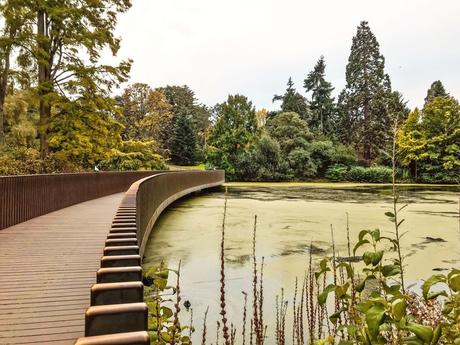 Jardín botánico de Kew, colección más grande del mundo