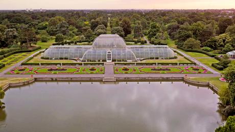Jardín botánico de Kew, colección más grande del mundo