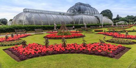 JARDÍN BOTÁNICO DE KEW