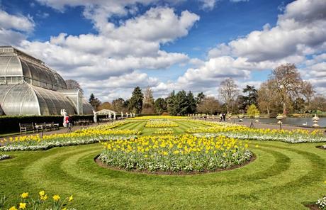 JARDÍN BOTÁNICO DE KEW