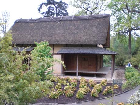 Jardín botánico de Kew, colección más grande del mundo