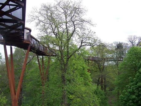 Jardín botánico de Kew, colección más grande del mundo