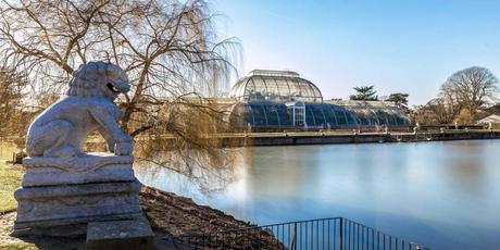 JARDÍN BOTÁNICO DE KEW
