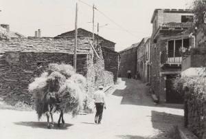 La dalla en la Sierra Norte