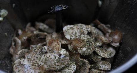 Echamos los champiñones junto los demás ingredientes y cocinamos