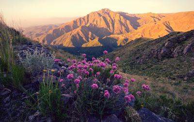 Asi empezo la empezo