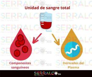 Esquema sangre productos sanguíneos