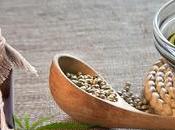 Descubriendo Cibdol, marca famoso aceite cáñamo