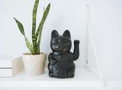 Comprar plantas domicilio, nuevo pasatiempo adictos decoración