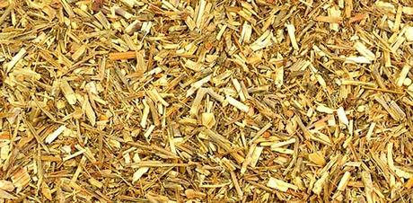 sisymbrium officinale triturado