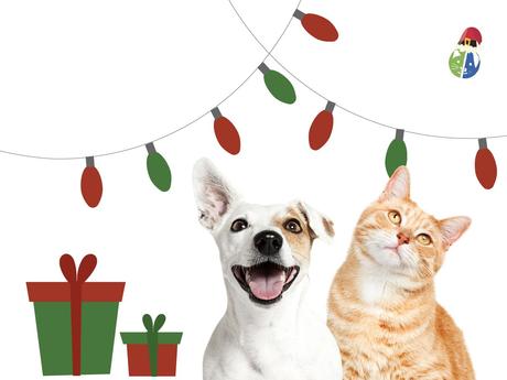 La Navidad en Mascota Planet