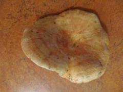 ¿Los últimos níscalos de de temporada?