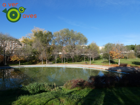 El colirrojo y las grullas reciben a los primeros escolares del curso