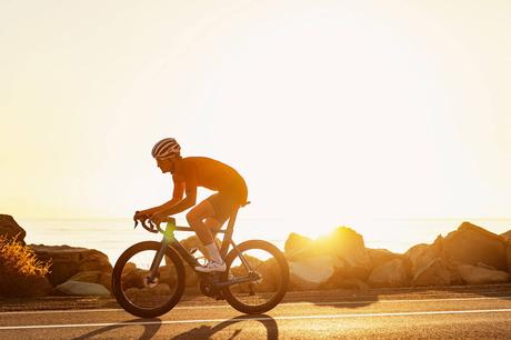 Felt AR Advanced revisión a fondo