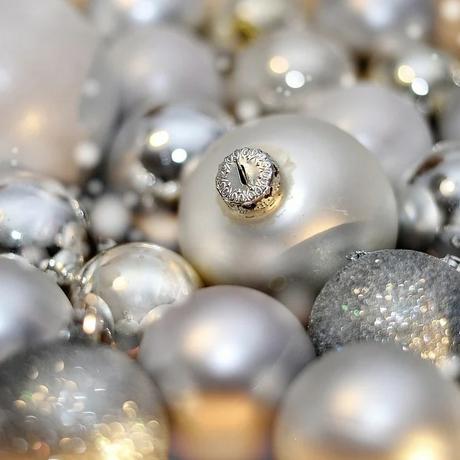 Árbol en el Sur o el Este en 2020