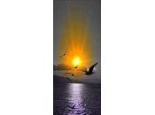 4.397 cielo infierno...