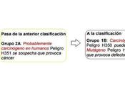 Urea Formol, Formaldehído, Salud Embarazo