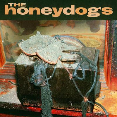 The Honeydogs - What I want (1995)
