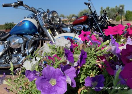 Una ruta de tres pares de cojones