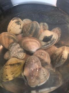 ZARZUELA DE PESCADO Y MARISCO II