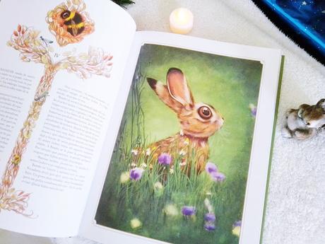 BAMBI: ¡Una vida en el bosque! BAMBI: ¡Una vida en el bosque!