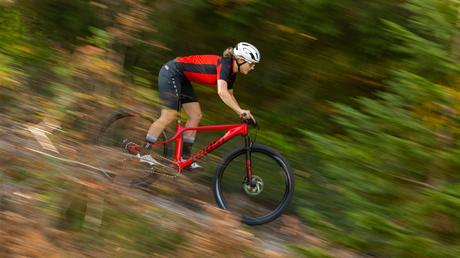 Ghost Lector SF PRO revisión a fondo