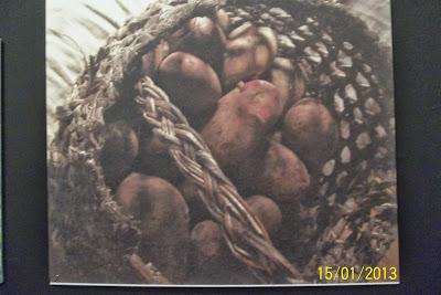 Recorriendo el Sur de Chile X