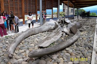 Recorriendo el Sur de Chile X