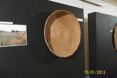 Recorriendo el Sur de Chile X