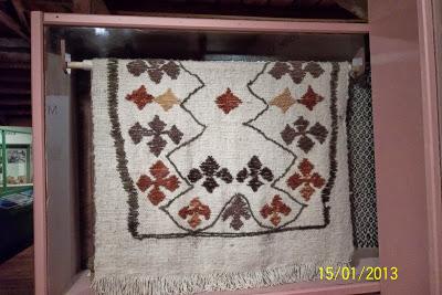 Recorriendo el Sur de Chile X