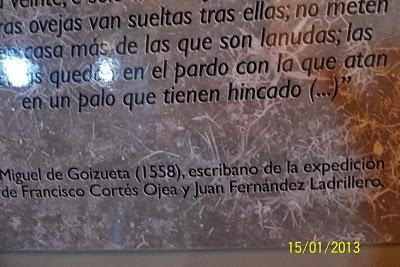 Recorriendo el Sur de Chile X