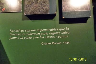 Recorriendo el Sur de Chile X