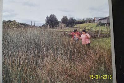 Recorriendo el Sur de Chile X