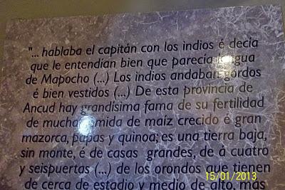 Recorriendo el Sur de Chile X